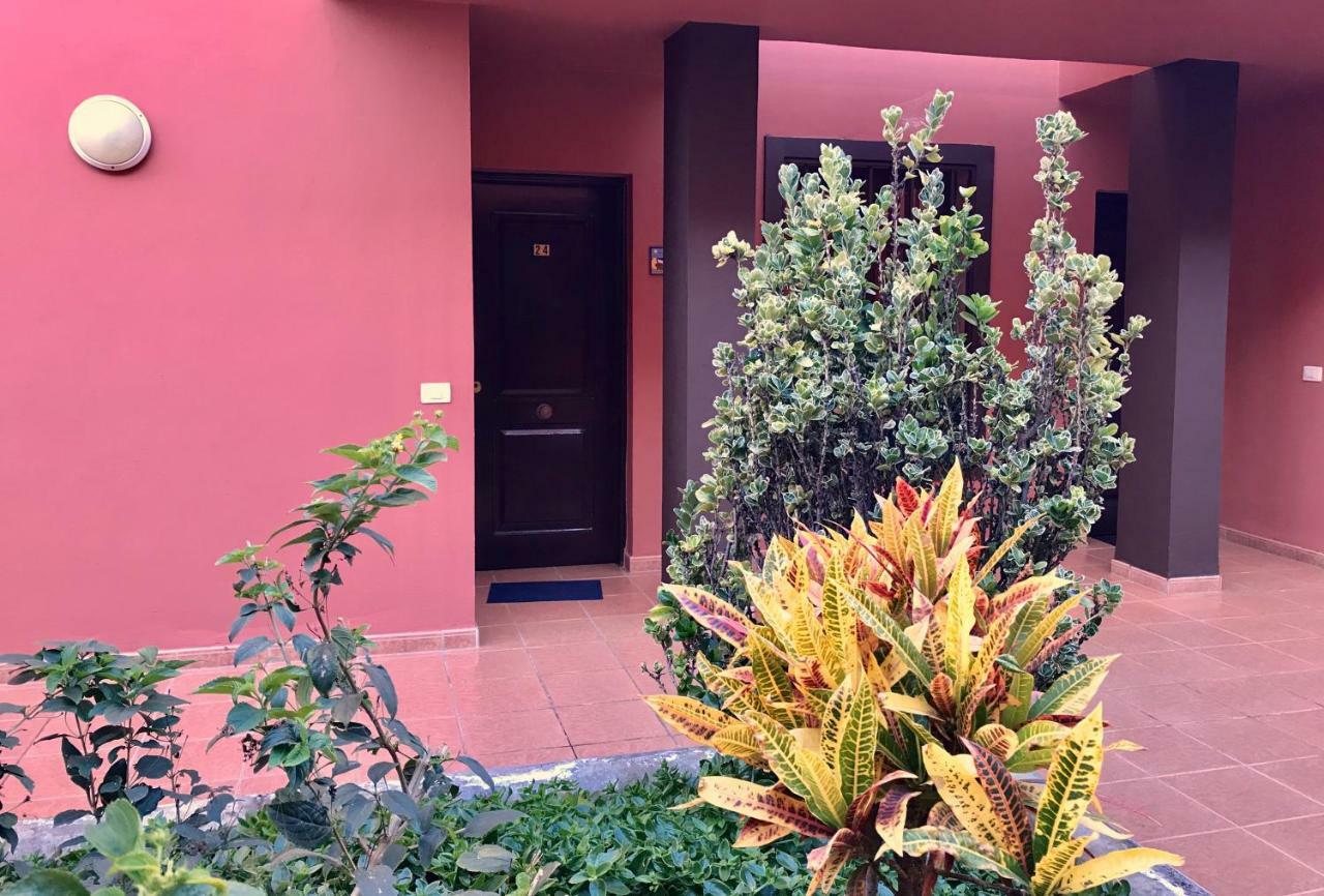 Dreaming The Sun Tenerife Costa Del Silencio Exterior foto