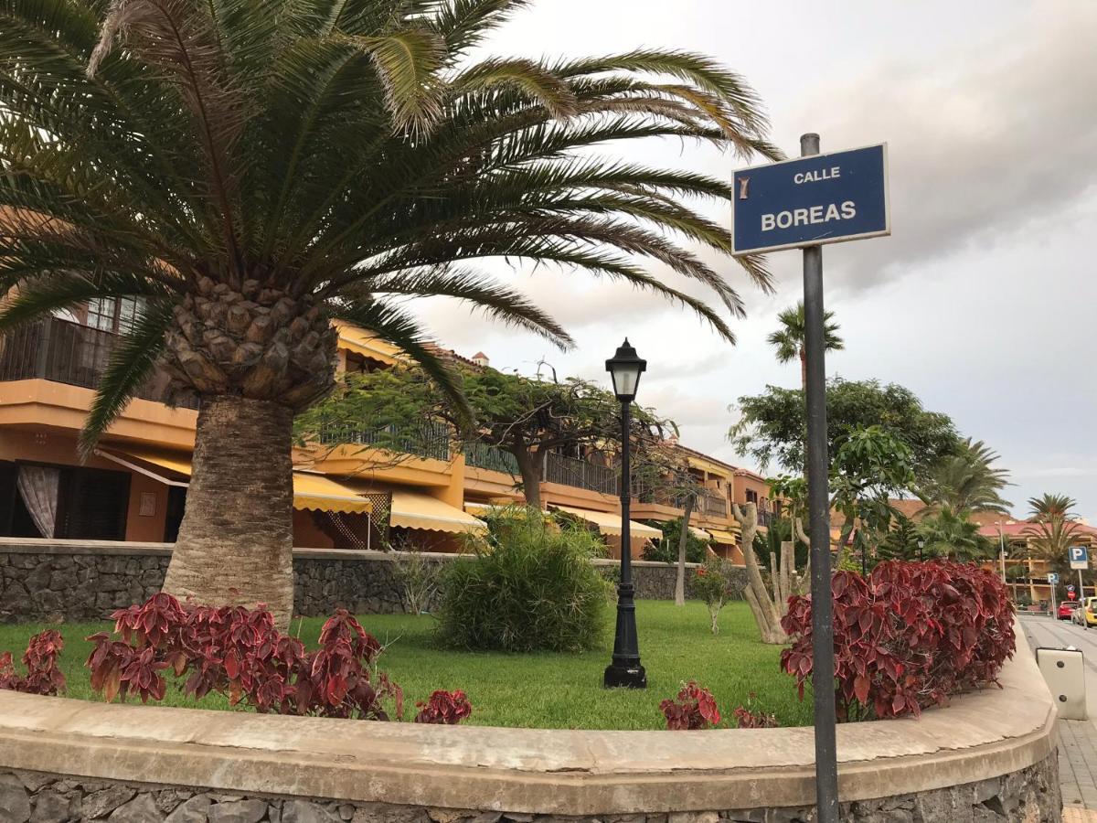 Dreaming The Sun Tenerife Costa Del Silencio Exterior foto